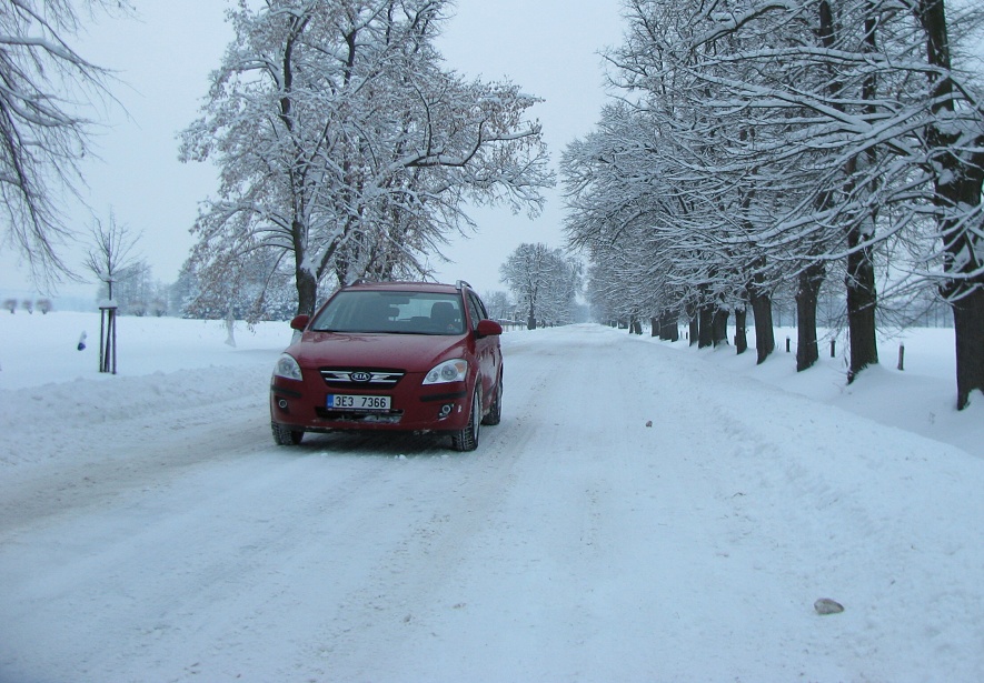 Obrázek