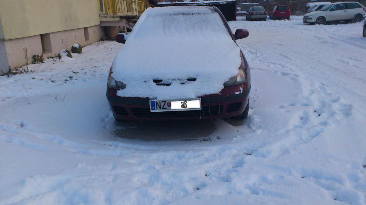 Obrázek