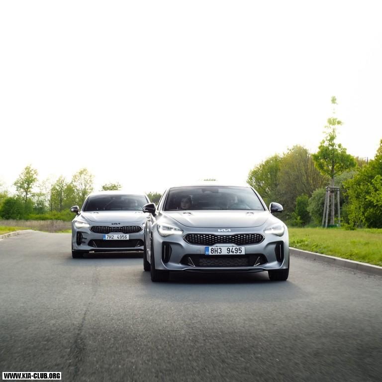 2x Stinger