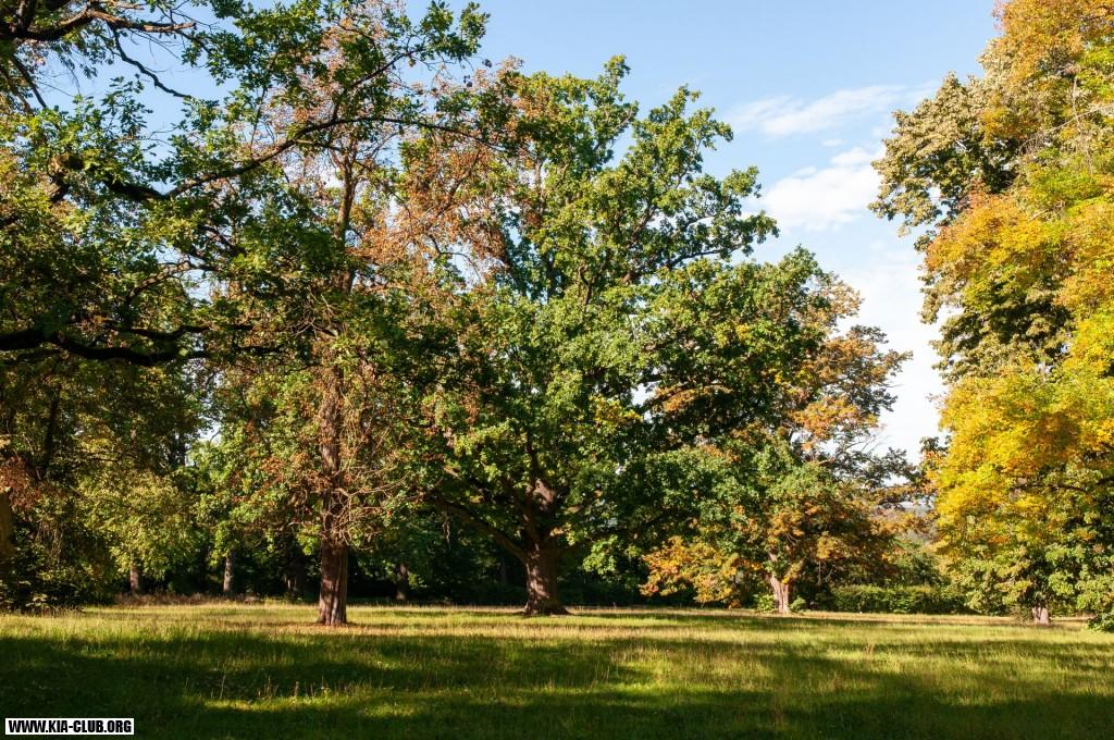 29.sraz Kia-Club.org 43