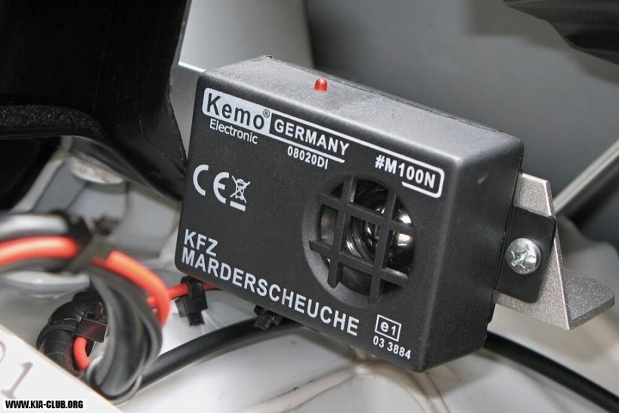 detail plašiče kun