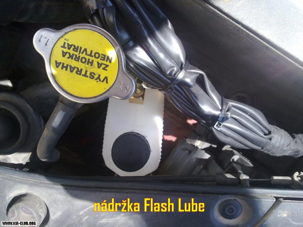 KIA Ceed foto324mp - Flash Lube
